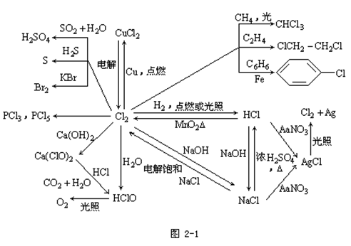 【陕西成人高考】2019年高起点化学元素及其化合(图1)