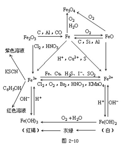 【陕西成人高考】2019年高起点化学元素及其化合(图8)