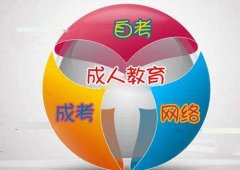 陕西省电大文凭求职公司认可吗？