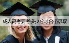 陕西民族学院成人高考分数线